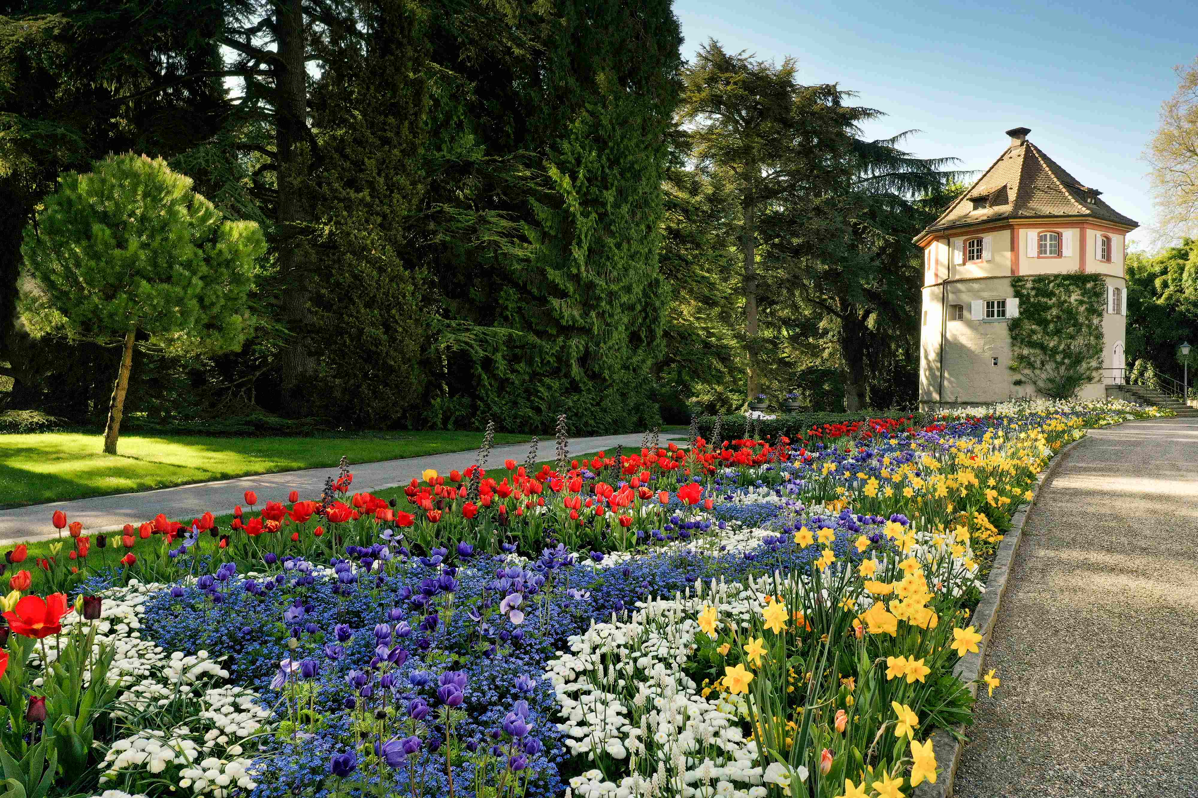 DJI 0591 mod Insel Mainau Marketing